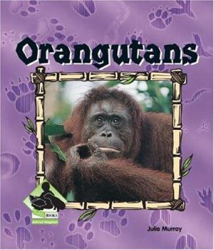 Orangutans - Book  of the Asian Animals