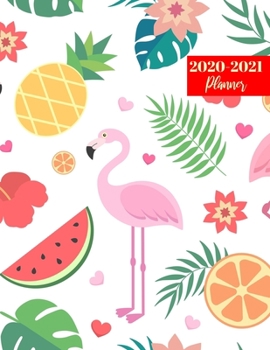 Paperback 2020-2021 Planner: Simple On-the-Go Daily, Weekly & Monthly Appointment Calendar - Large 2 Year Business Planners, Agenda Schedule Logboo Book