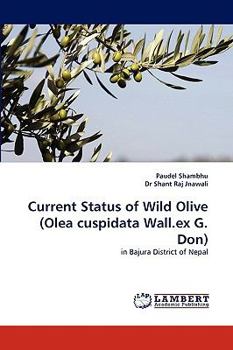 Paperback Current Status of Wild Olive (Olea Cuspidata Wall.Ex G. Don) Book
