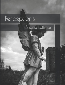 Paperback Perceptions: Hyperrealism Book