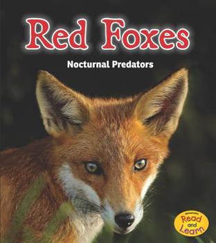 Hardcover Red Foxes: Nocturnal Predators Book