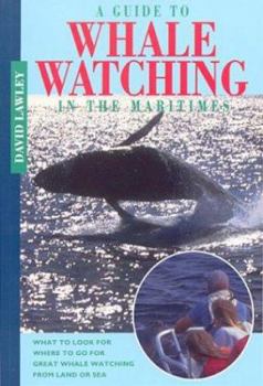 Paperback A Guide to Whale Watching in the Maritimes Book
