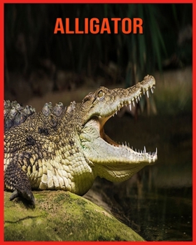 Paperback Alligator: Fun Learning Facts About Alligator Book