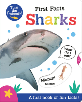 Board book First Facts Sharks Book