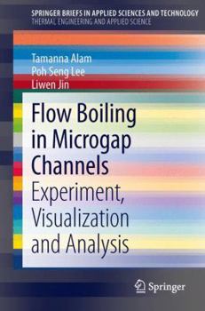 Paperback Flow Boiling in Microgap Channels: Experiment, Visualization and Analysis Book