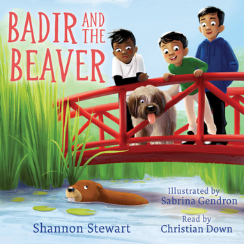 Misc. Badir and the Beaver Book
