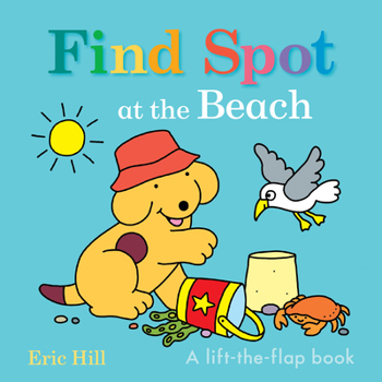 Board book Find Spot at the Beach: A Lift-The-Flap Book