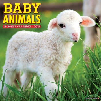 Calendar Baby Animals 2021 Wall Calendar Book