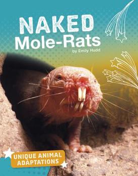 Paperback Naked Mole-Rats Book