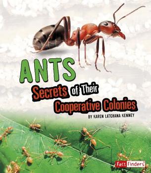 Ants: Secrets of Their Cooperative Colonies - Book  of the Amazing Animal Colonies