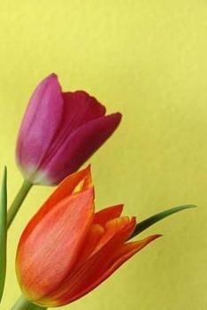 Paperback Notebook Book