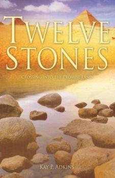 Paperback Twelve Stones Book