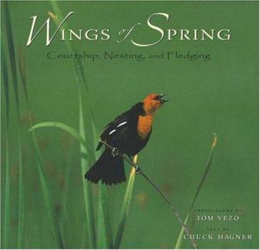 Hardcover Wings of Spring: Courtship, Nesting, and Fledging Book