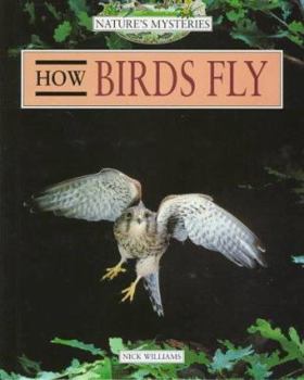Hardcover How Birds Fly Book