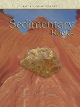 Rocks and Minerals: Sedimentary Rocks