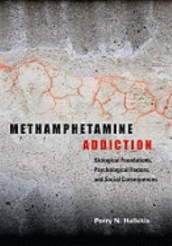 Hardcover Methamphetamine Addiction: Biological Foundations, Psychological Factors, and Social Consequences Book