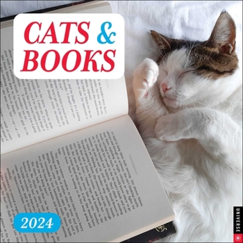 Calendar Cats & Books 2024 Wall Calendar Book