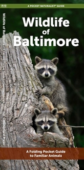 Paperback Wildlife of Baltimore: A Folding Pocket Guide to Familiar Animals Book