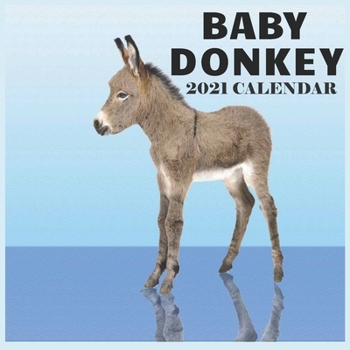 Paperback Baby Donkey 2021 Calendar: Wall & Office calendar 16 Months with beautiful pictures Book