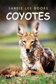 Paperback Coyotes - Sandie Lee Books Book