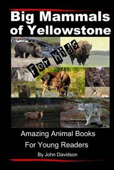 Paperback Big Mammals Of Yellowstone For Kids: Amazing Animal Books for Young Readers Book