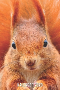 Paperback Kalender 2020: Eichh?rnchen A5 Kalender Planer f?r ein erfolgreiches Jahr - 110 Seiten [German] Book