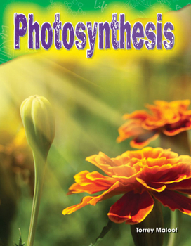 Paperback Photosynthesis Book
