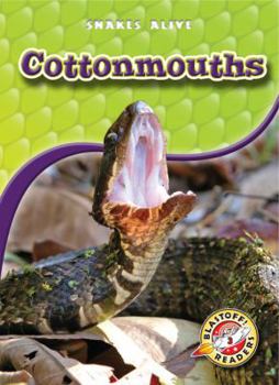 Cottonmouths - Book  of the Snakes Alive