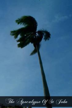 Paperback The Apocalypse Of St John Book