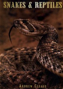 Hardcover Snakes & Reptiles Book