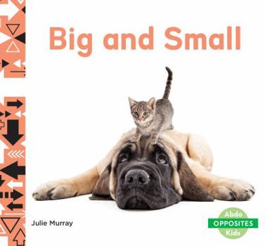 Big and Small - Book  of the Opposites