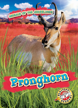 Pronghorn - Book  of the Scholastic: Blastoff!  Animals of the Grasslands