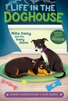 Paperback Millie, Daisy, and the Scary Storm Book