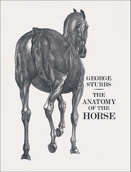 Paperback The Anatomy of the Horse Book