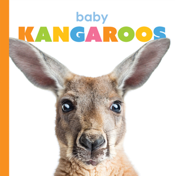 Paperback Baby Kangaroos Book