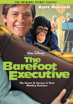 DVD The Barefoot Executive Book
