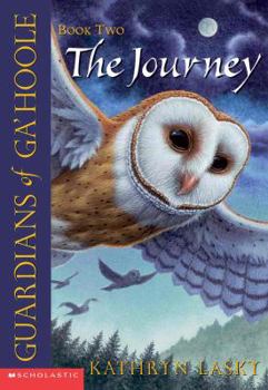 Library Binding The Journey Book