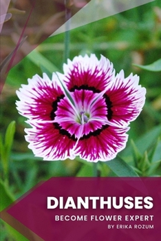 Dianthuses: Become flower expert
