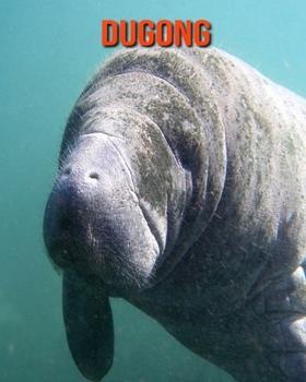 Paperback Dugong: Amazing Photos & Fun Facts Book About Dugong For Kids Book