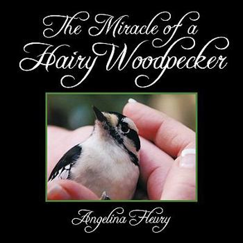 Paperback The Miracle of a Hairy Woodpecker Book