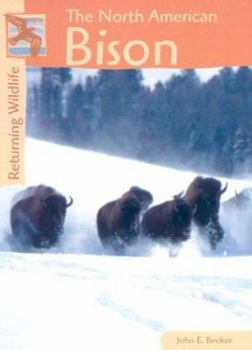 Hardcover Returning Wildlife: North American Bison Book