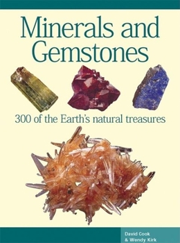 Paperback Minerals and Gemstones (Expert Guides) Book