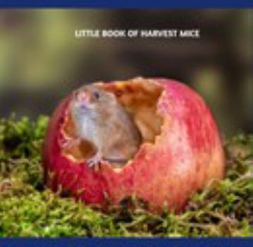 Hardcover Little Book of Harvest Mice Book
