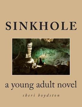 Paperback Sinkhole: a young adult novel Book