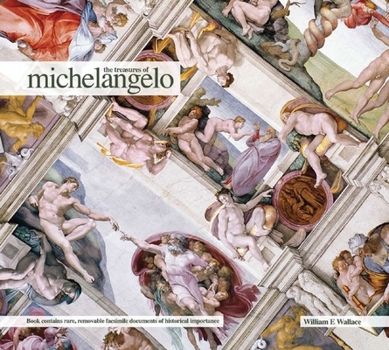 Hardcover The Treasures of Michelangelo Book