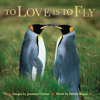 Hardcover To Love Is to Fly Book