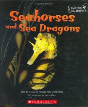 Library Binding Seahorses and Sea Dragons Book