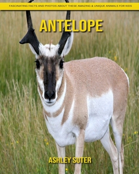 Paperback Antelope: Fascinating Facts and Photos about These Amazing & Unique Animals for Kids Book