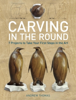 Paperback Carving in the Round: 7 Projects to Take Your First Steps in the Art Book