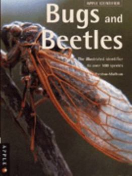 Hardcover BUGS AND BEETLES (IDENTIFIERS) Book